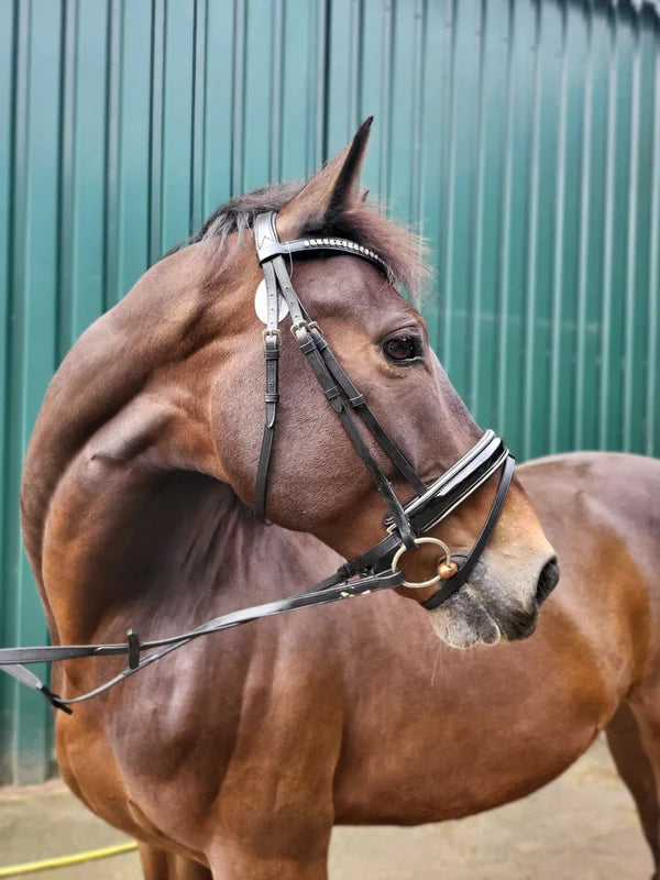 Profirider hoofdstel shine zilver
