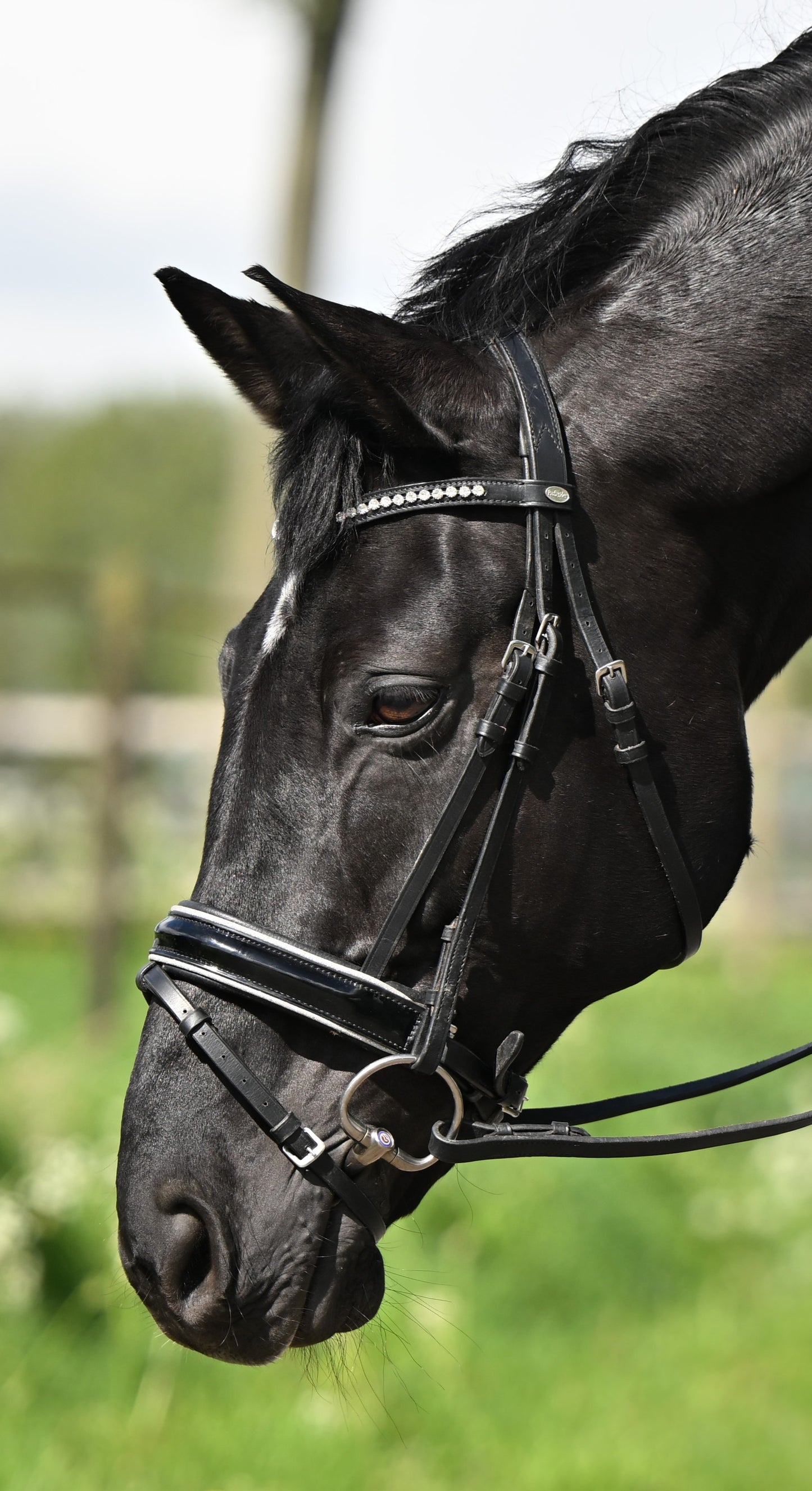 Profirider hoofdstel shine zilver