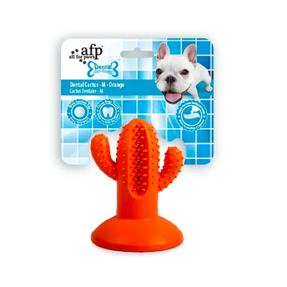 Afp Dental Cactus