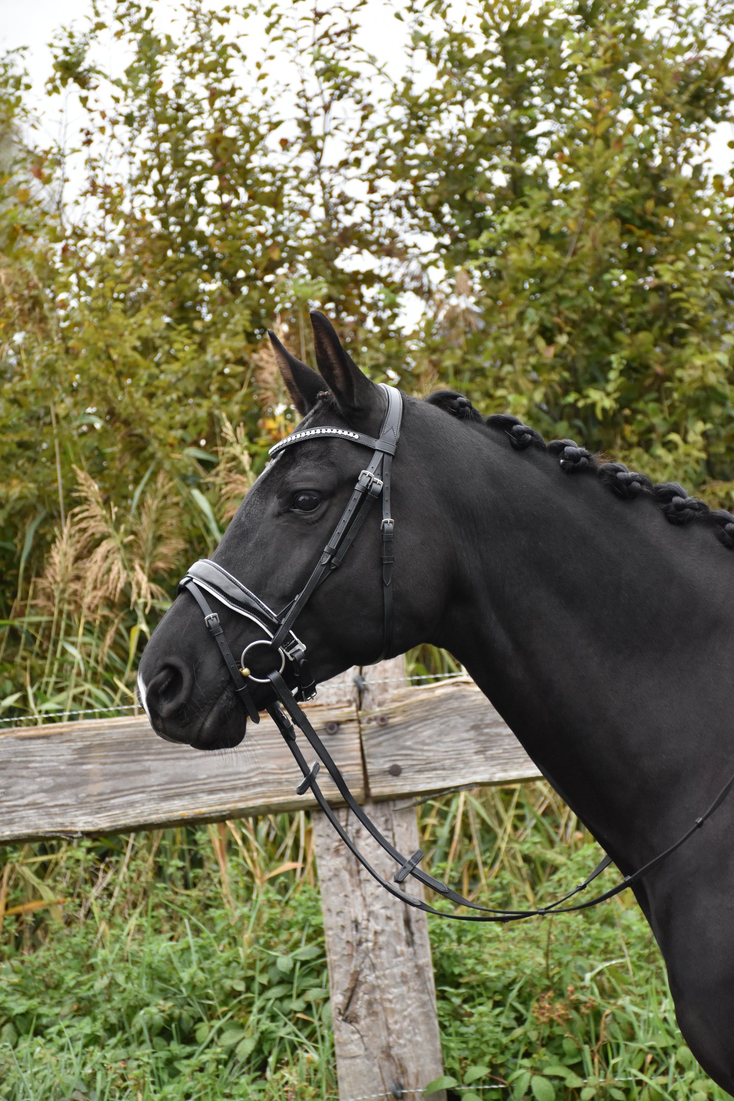 Profirider hoofdstel Wit onderlegd