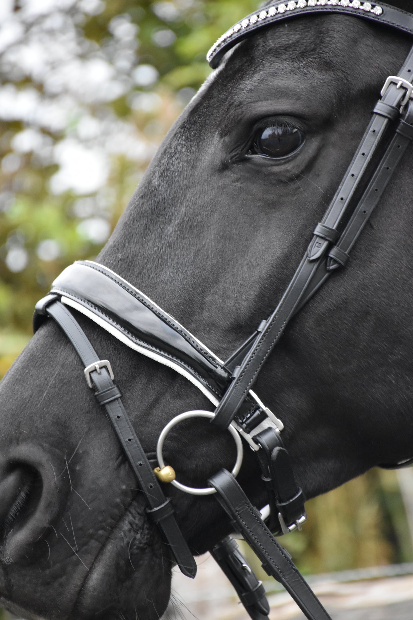 Profirider hoofdstel Wit onderlegd