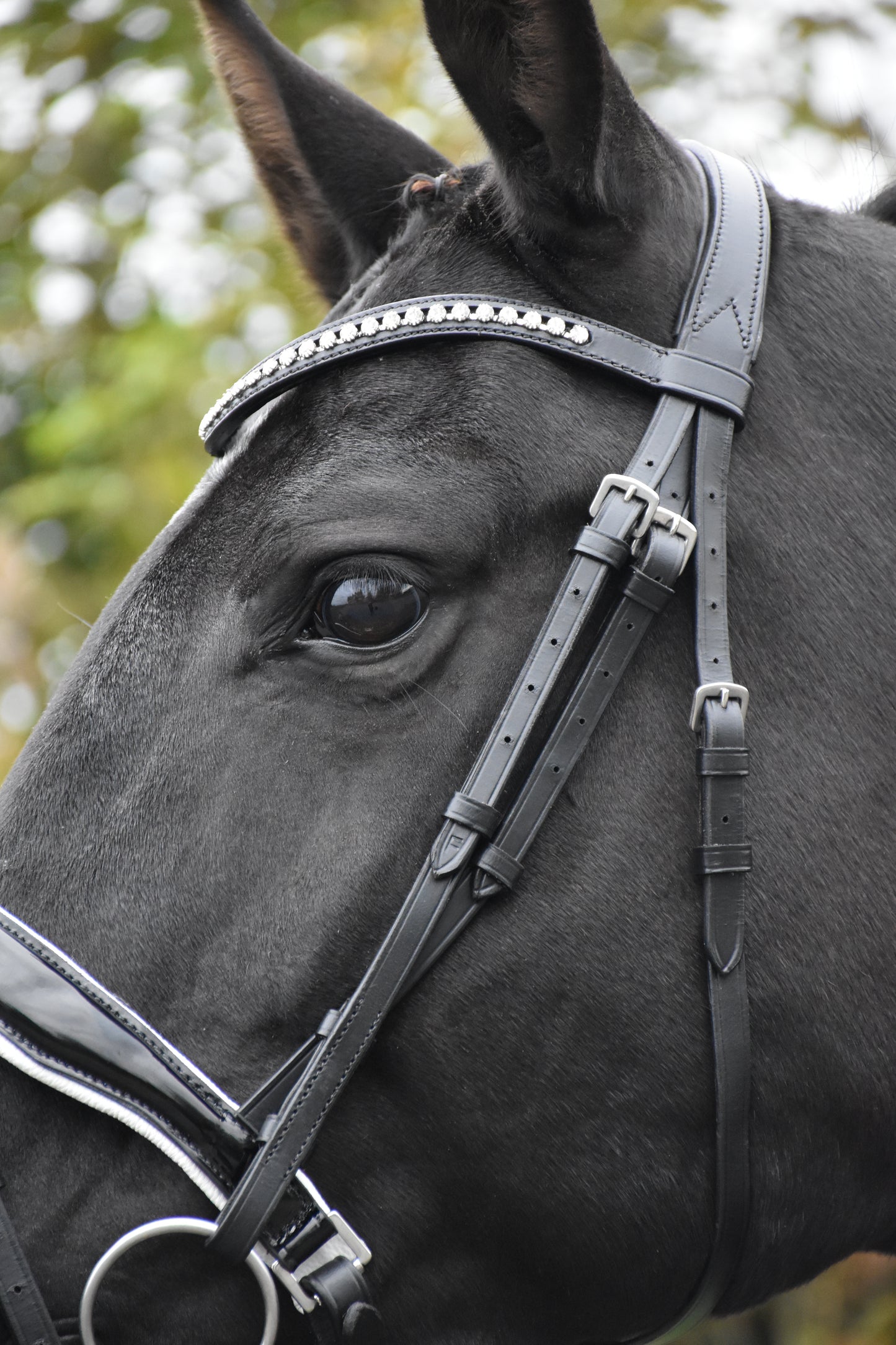 Profirider hoofdstel Wit onderlegd