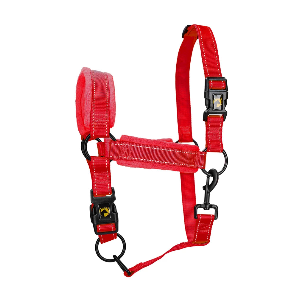 Excellent Superior Halster Rood