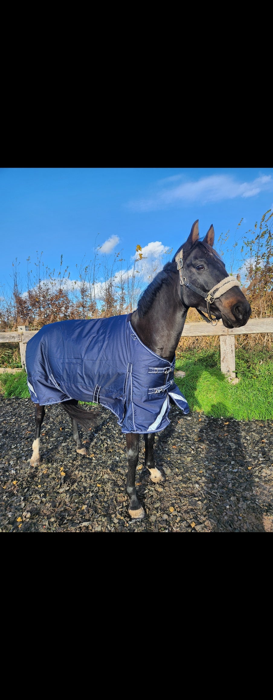 Profirider outdoordeken 300 gram met afneembare hals