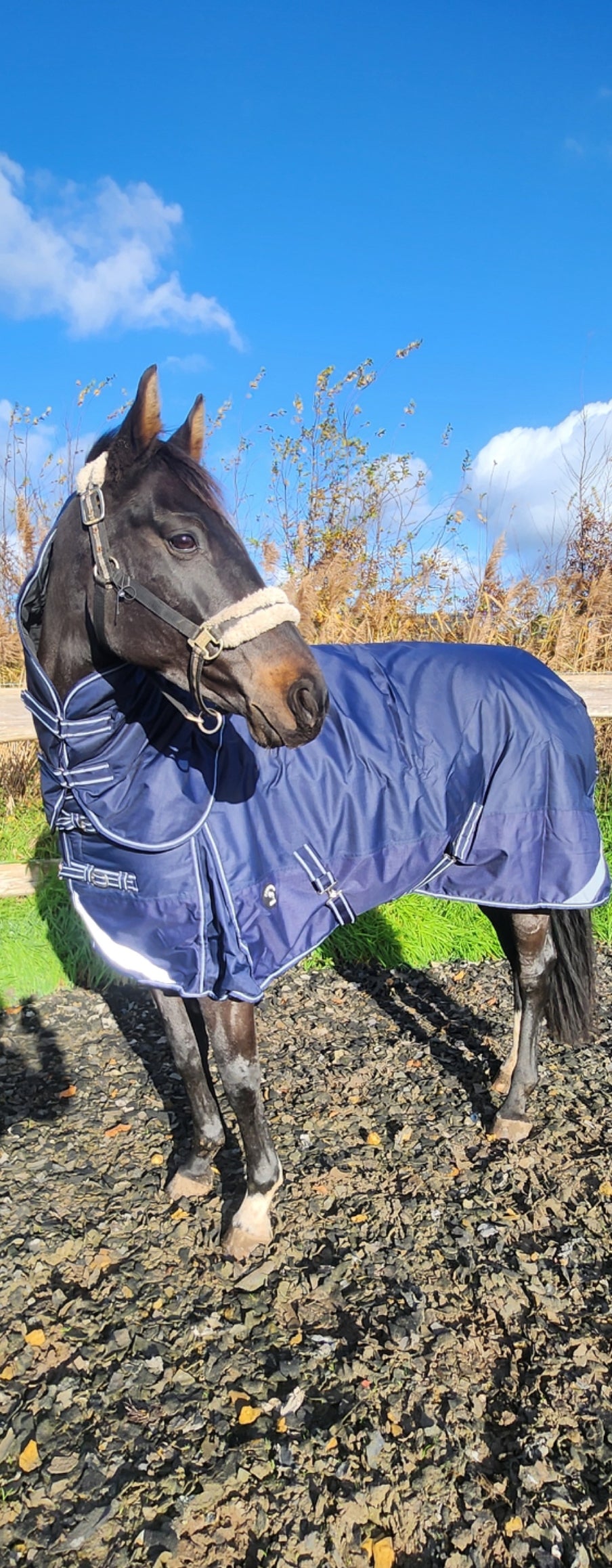 Profirider outdoordeken 300 gram met afneembare hals