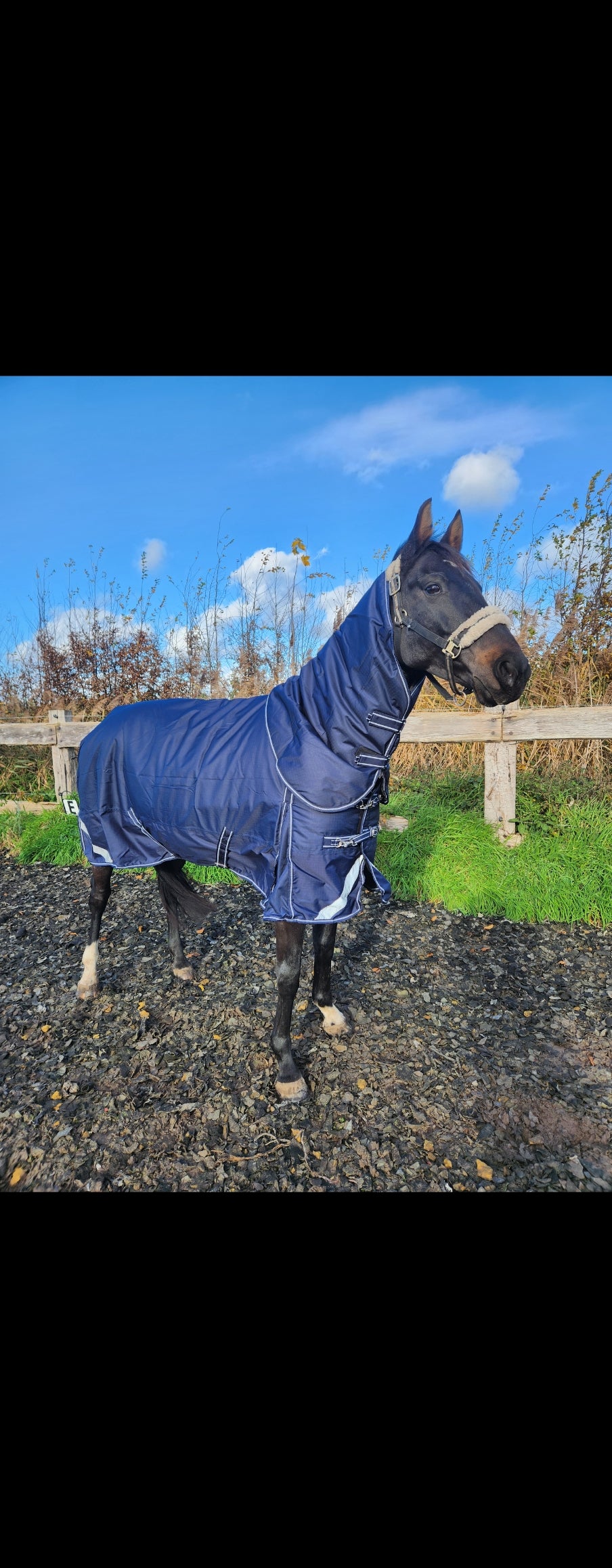 Profirider 250 gram met afneembare hals