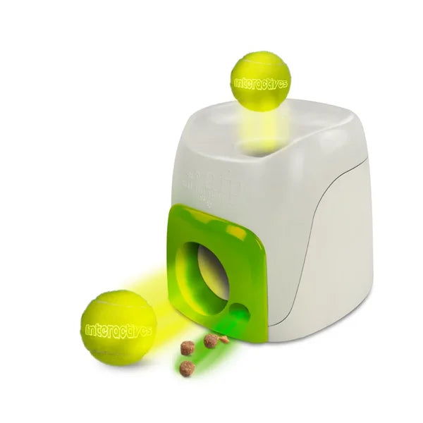 AFP Interactives - Fetch'N' Treat
