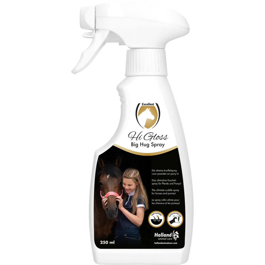EXCELLENT HI GLOSS BIG HUG SPRAY