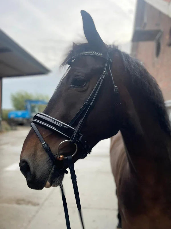 Profirider hoofdstel shine zilver