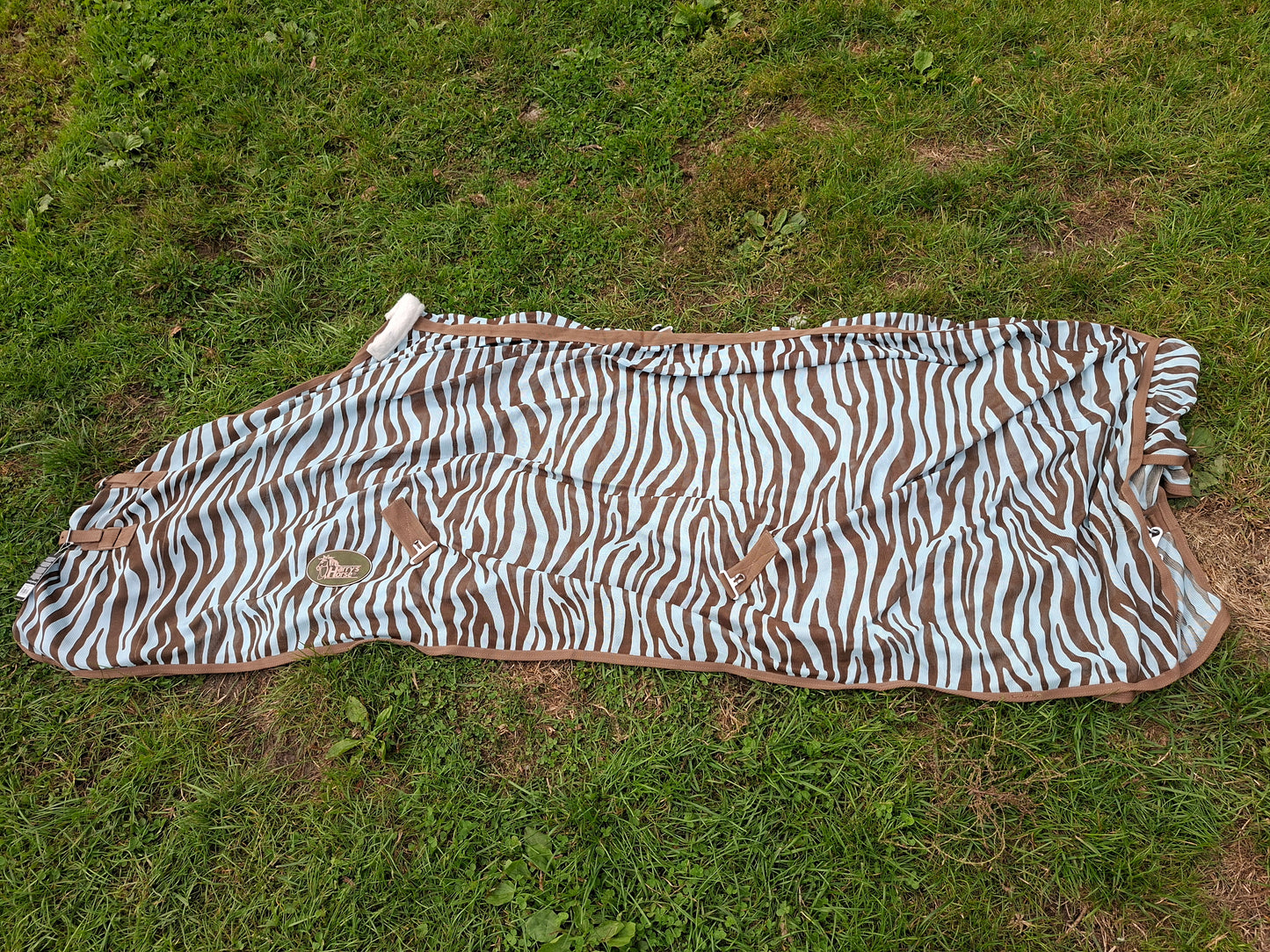 Zebra vliegendeken 215