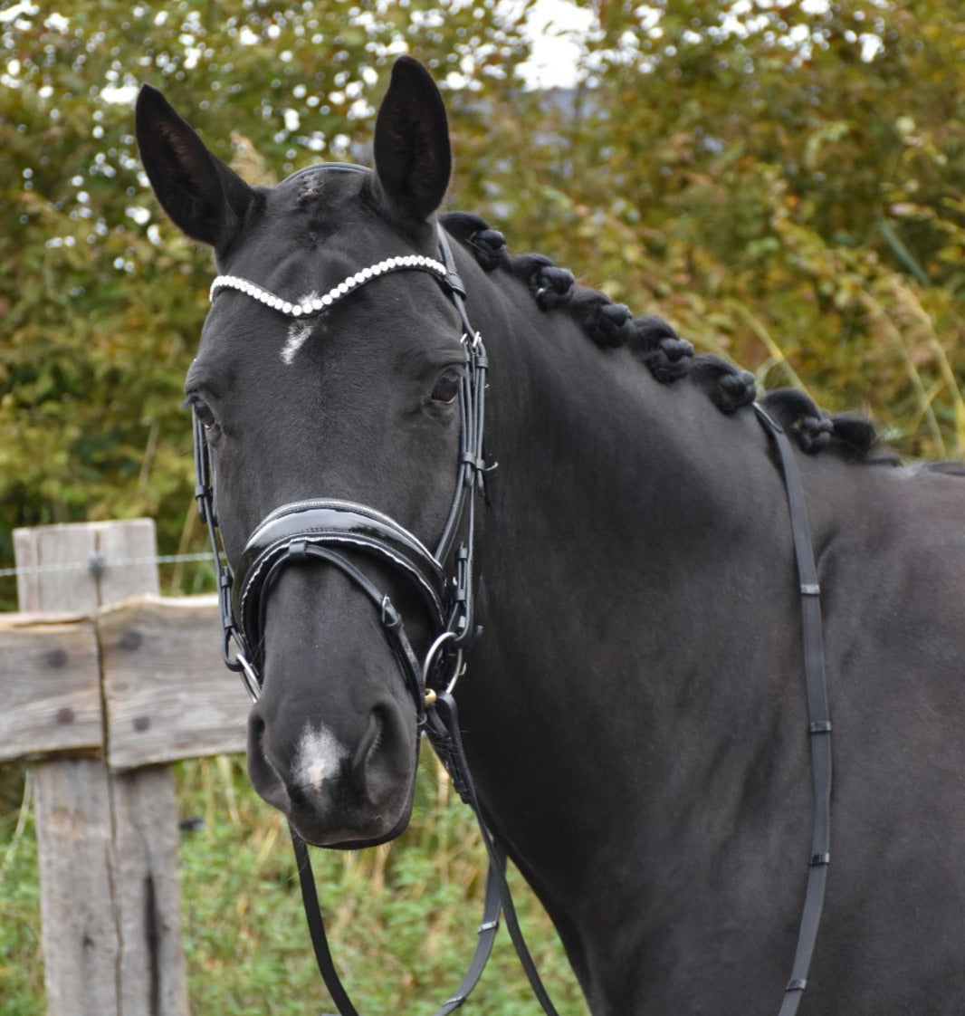 Profirider hoofdstel diamant maat cob