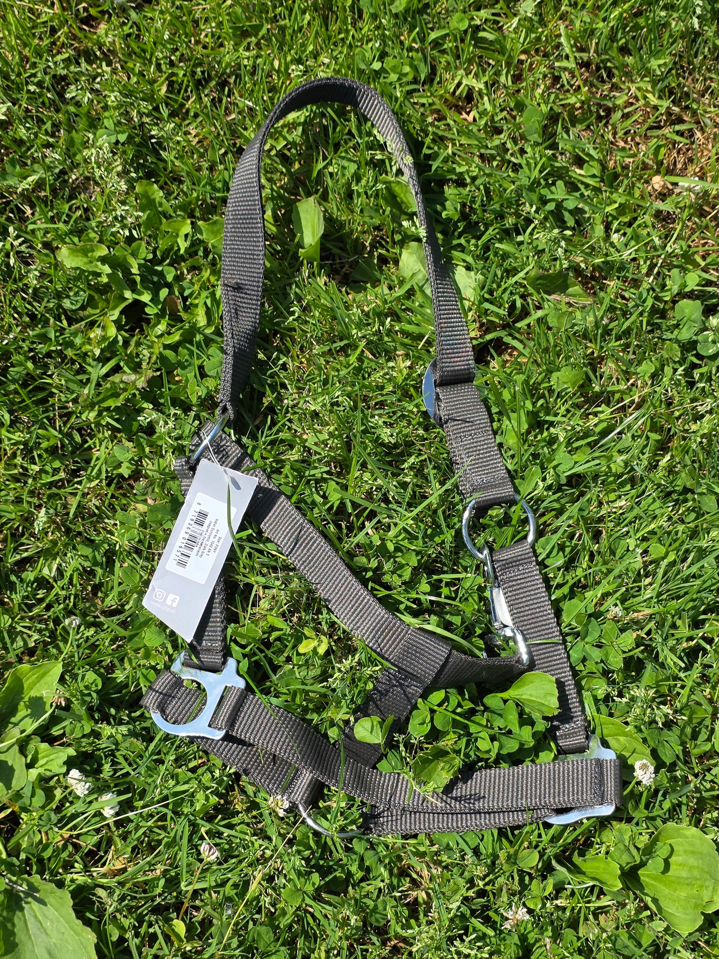 Qhp basic halsters