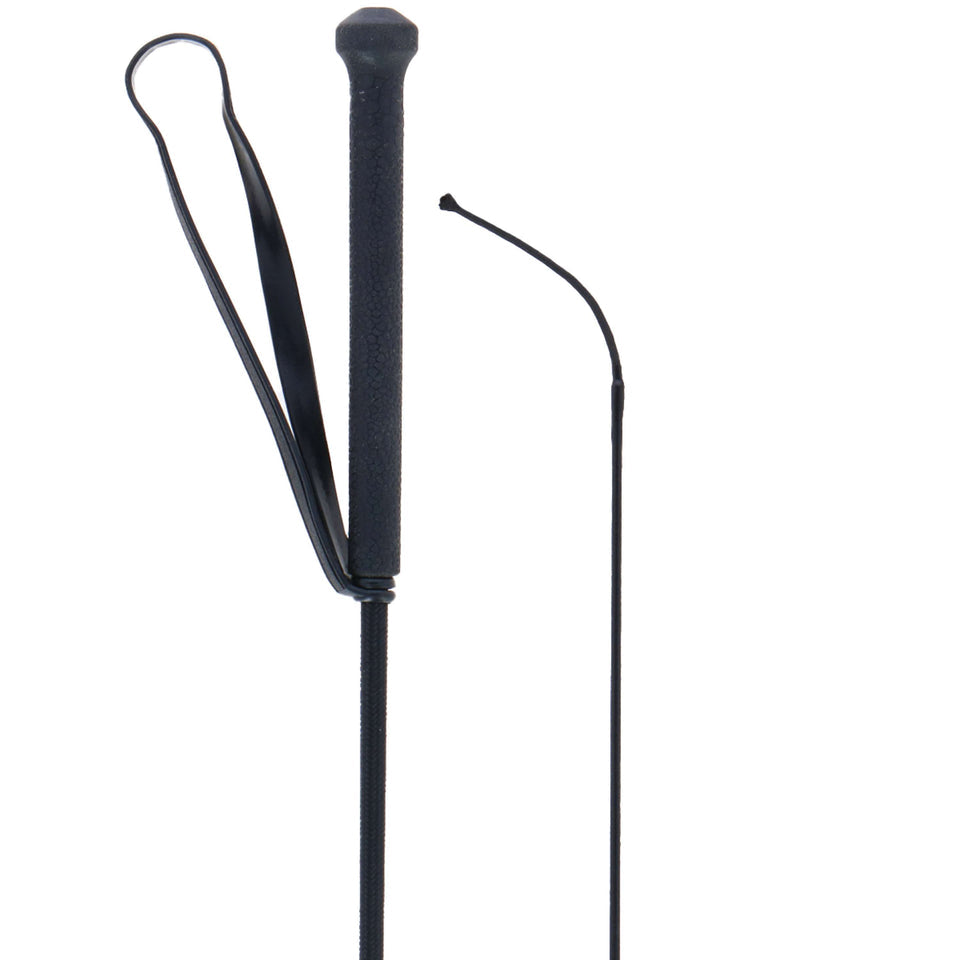 Harrys horse dresuurzweep