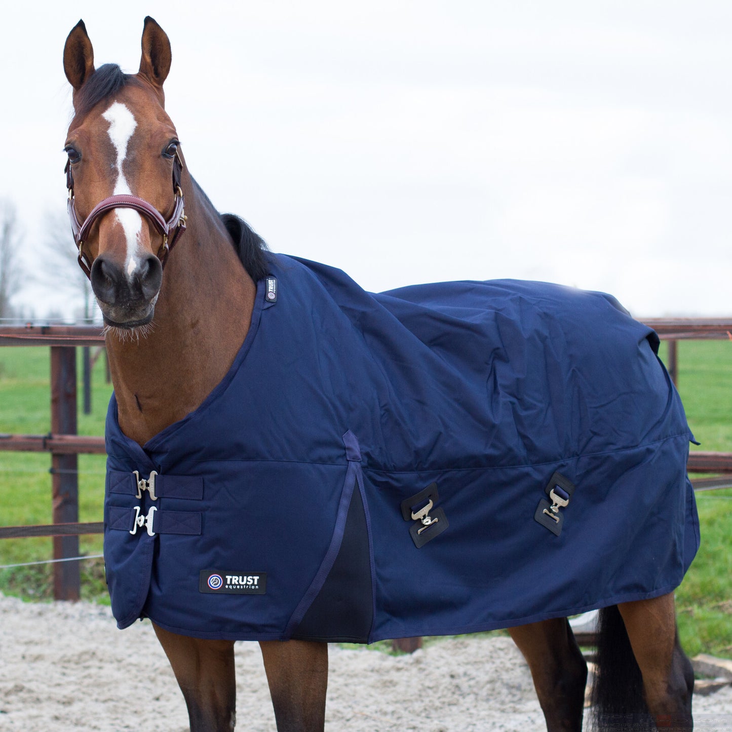 TRUST outdoor rug heavy navy