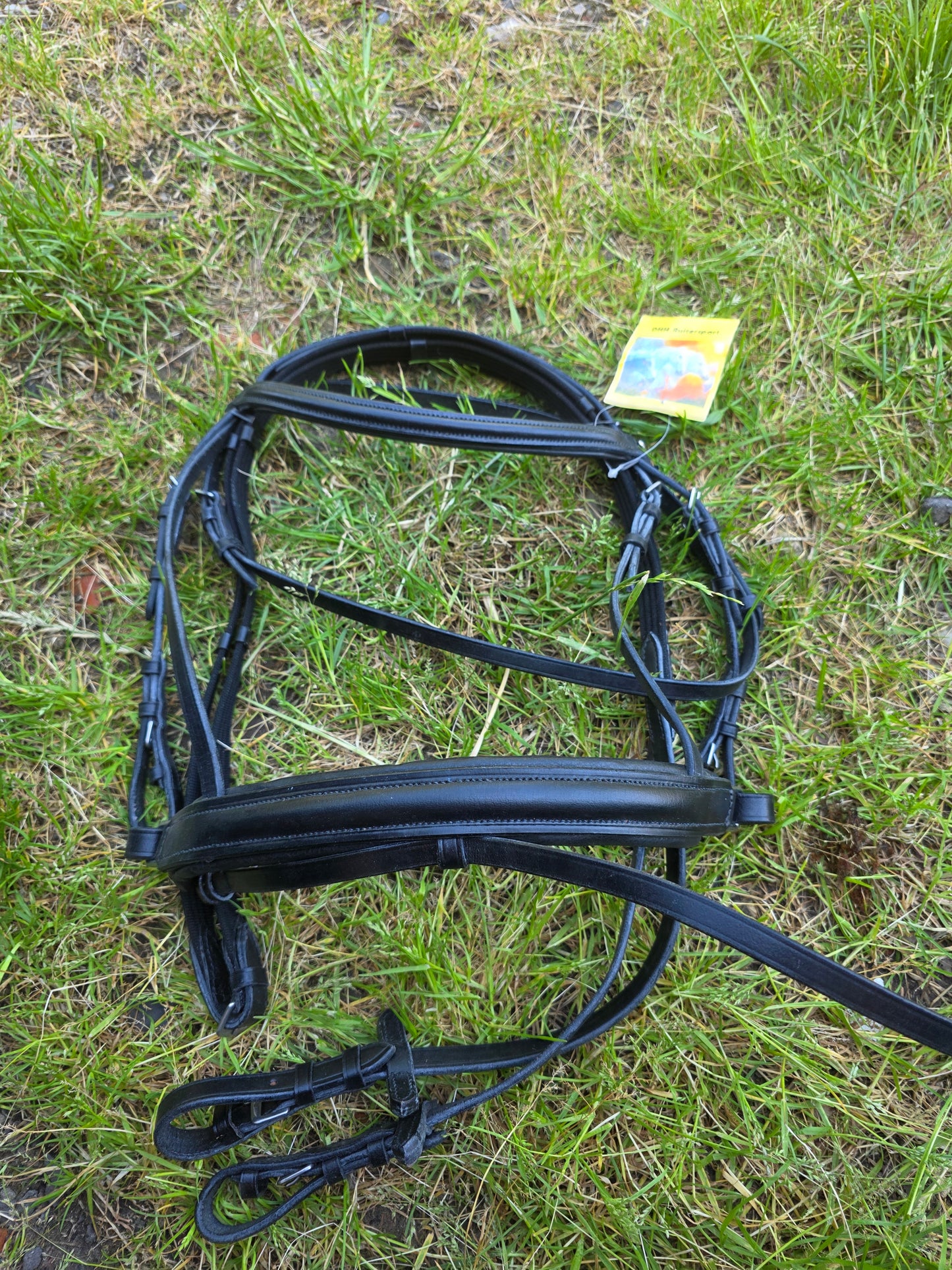 Hoofdstel maat pony