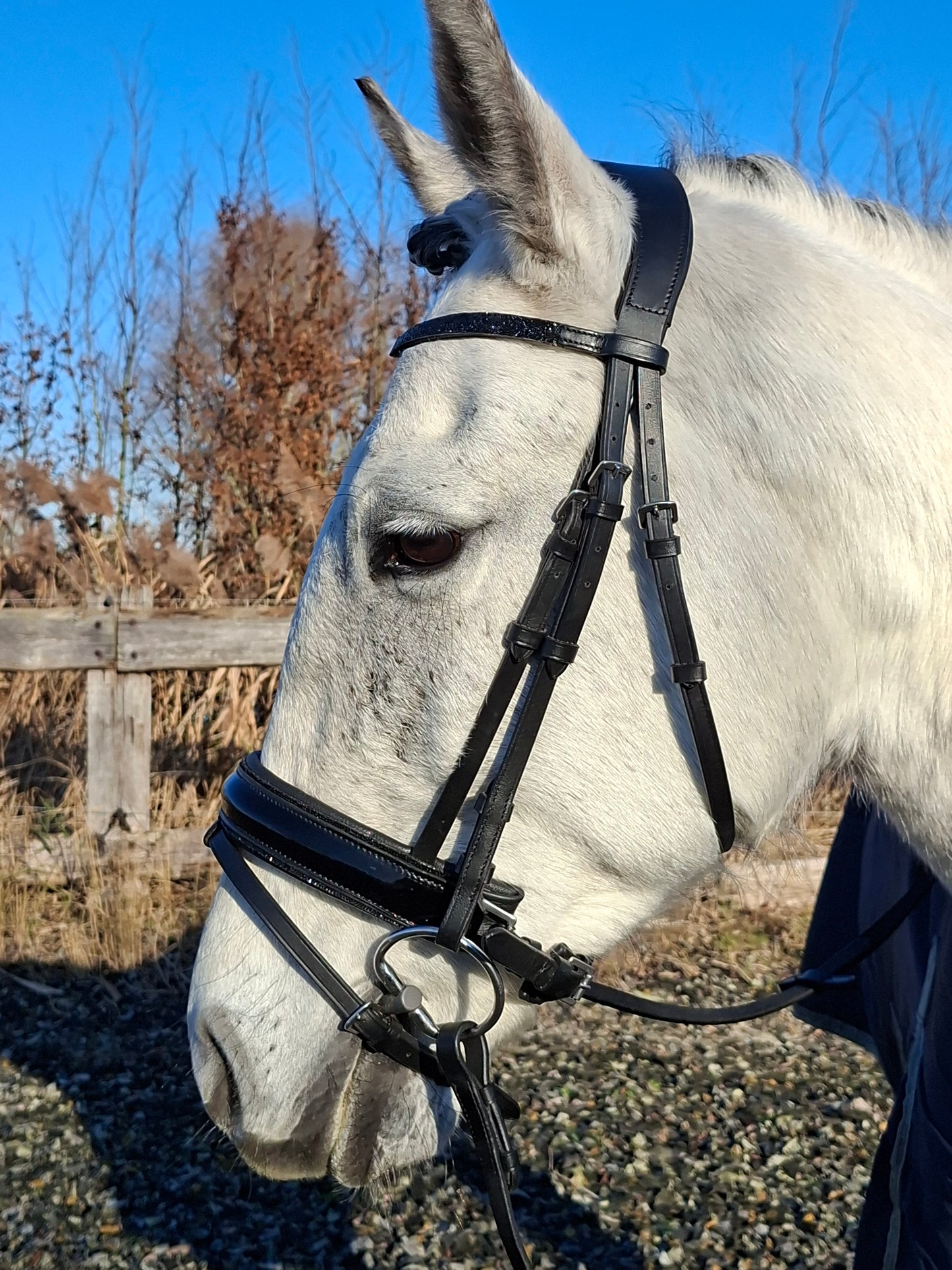 Profirider hoofdstel hotfix stone black/black