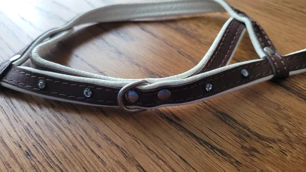 Harness four paws