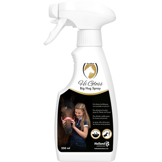 EXCELLENT HI GLOSS BIG HUG SPRAY