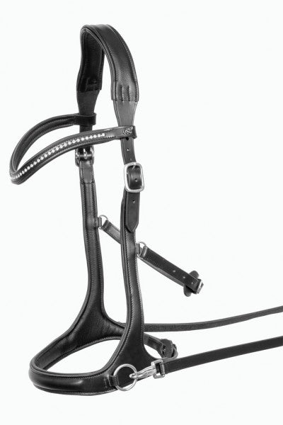 Bitloos hoofdstel Trust