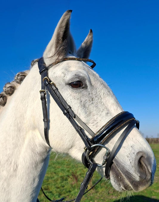 Profirider hoofdstel black/goud