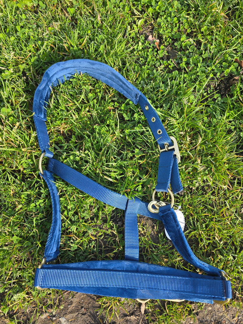 Profirider halsters fluweel -COB