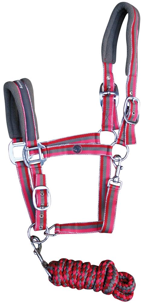 Harry's Horse Halsterset Stripe Wl12 Raspberry - Maat Pony