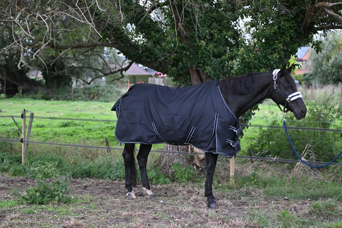 Profirider regendeken