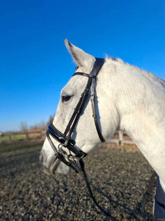 Profirider hoofdstel hotfix stone black/black