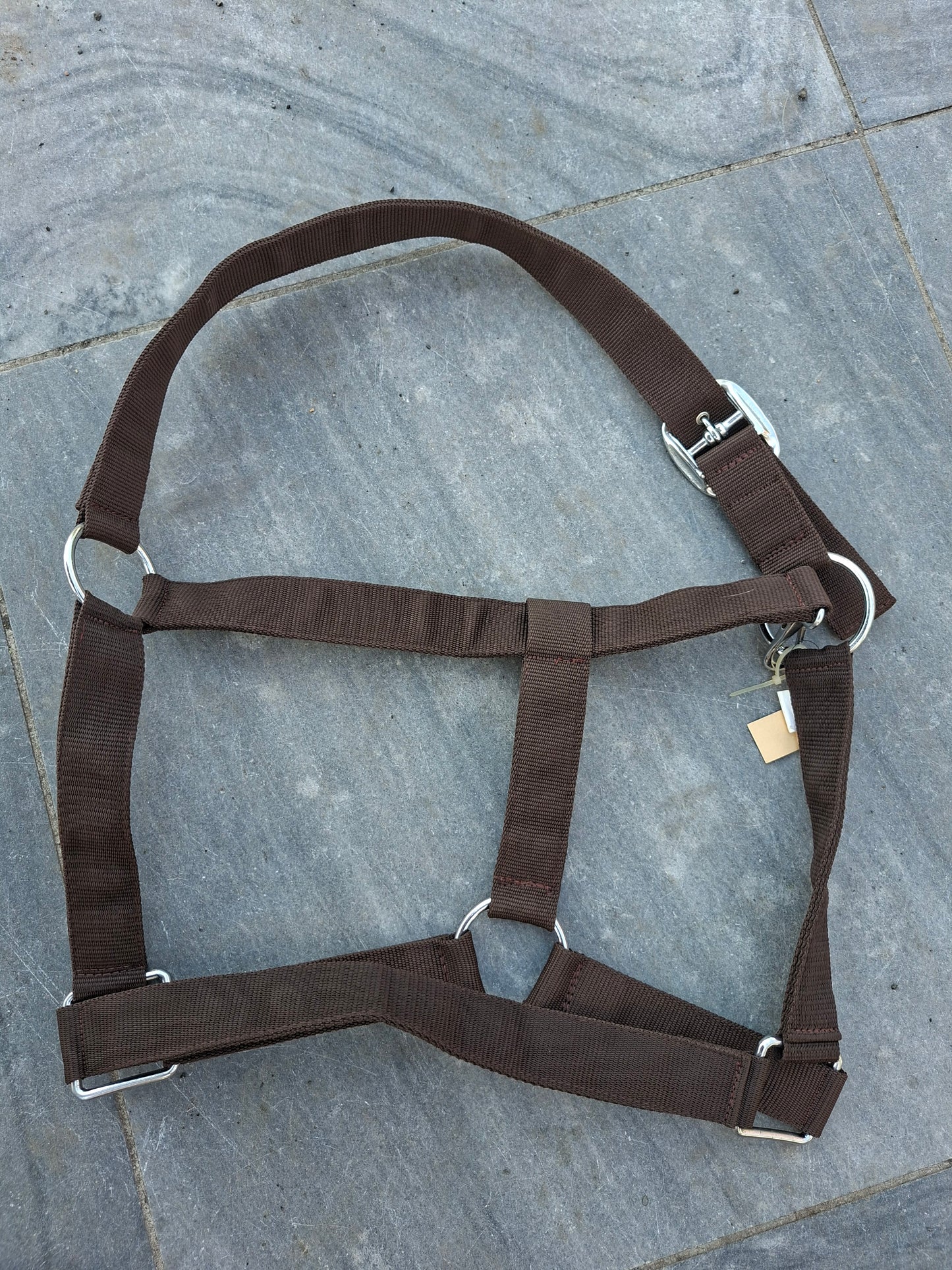 Bruin trekpaard halster