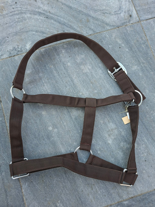 Bruin trekpaard halster