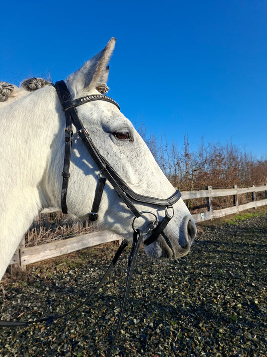 Profirider hoofdstel revolution