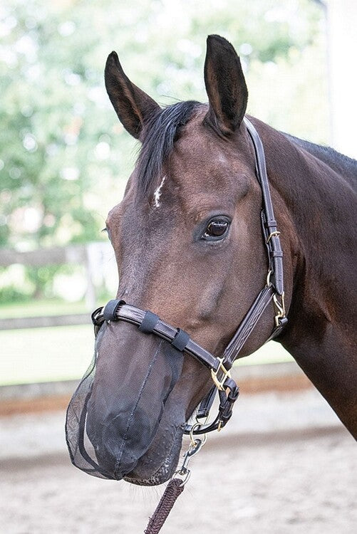 Harry's Horse Neus net maat full