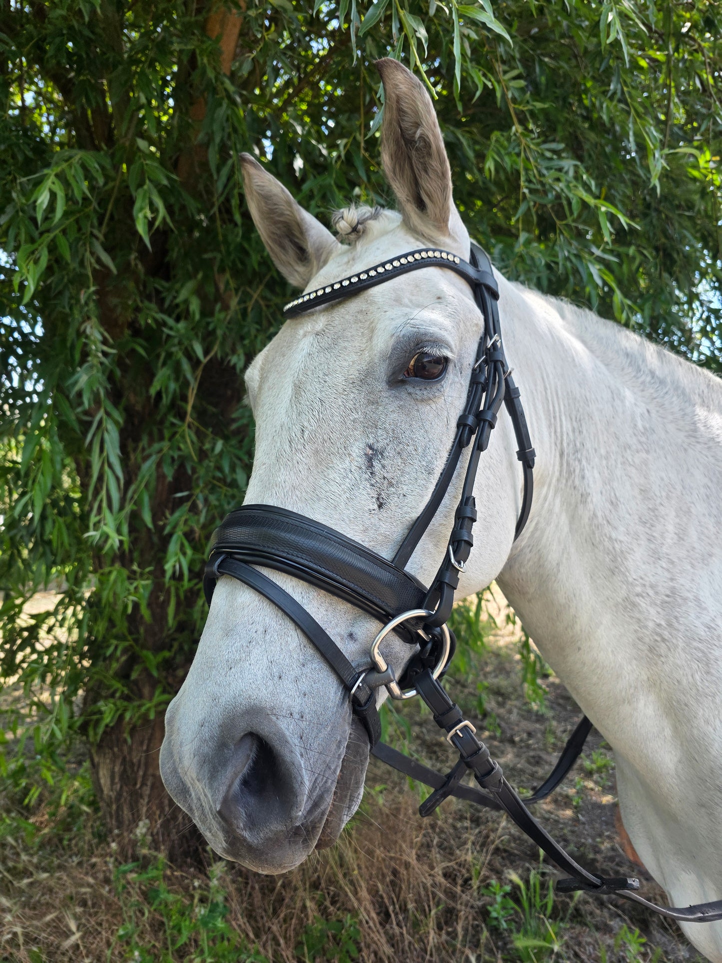 Profirider hoofdstel