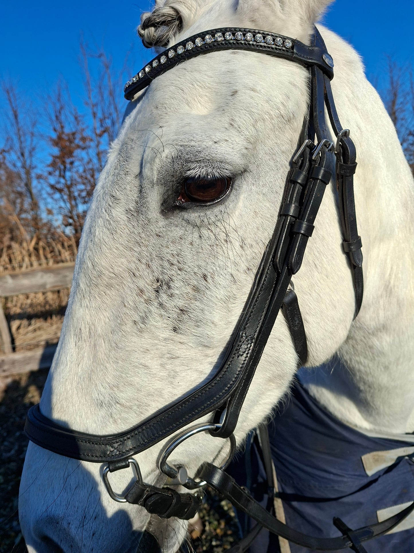 Profirider hoofdstel revolution