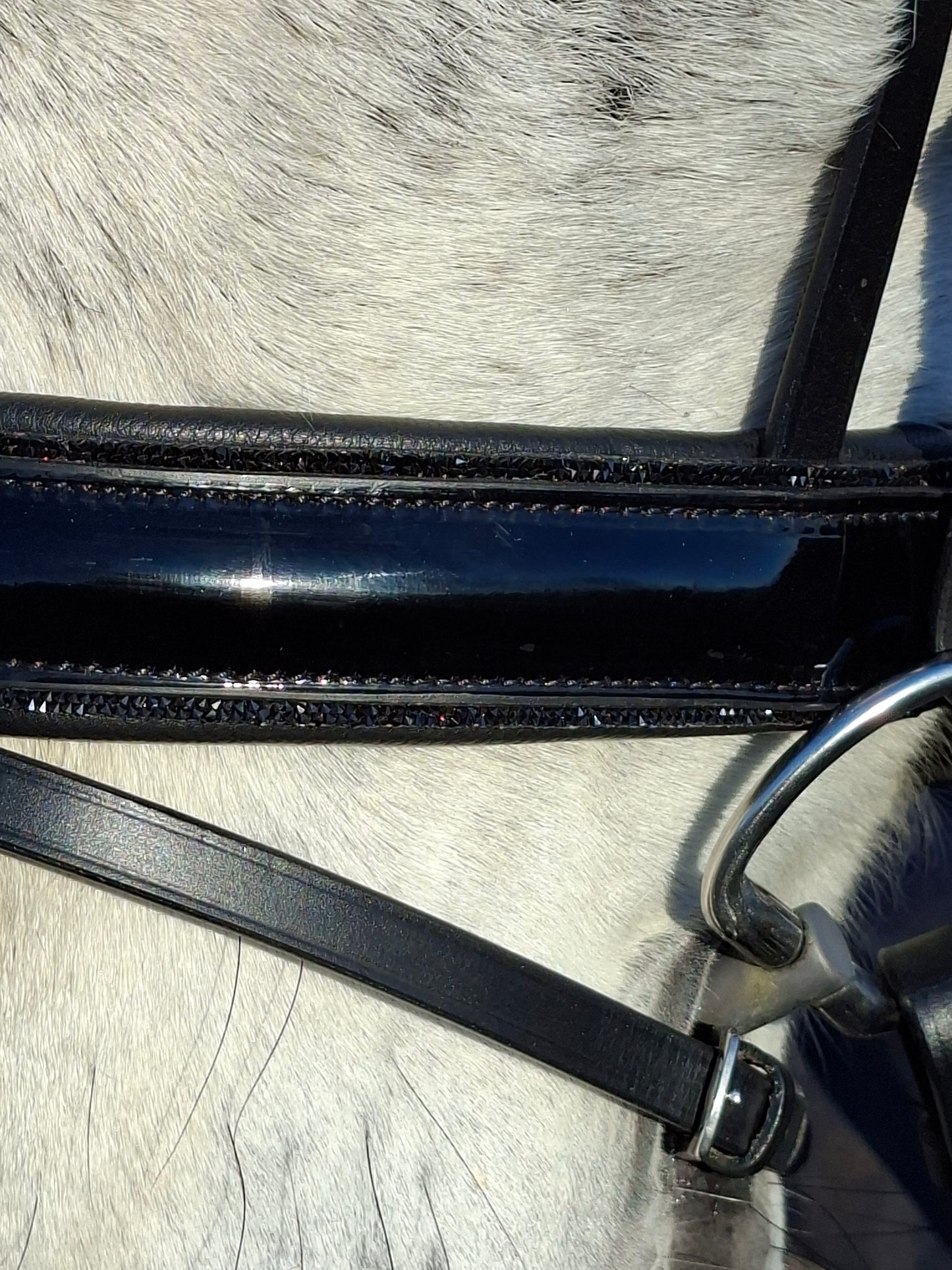 Profirider hoofdstel hotfix stone black/black