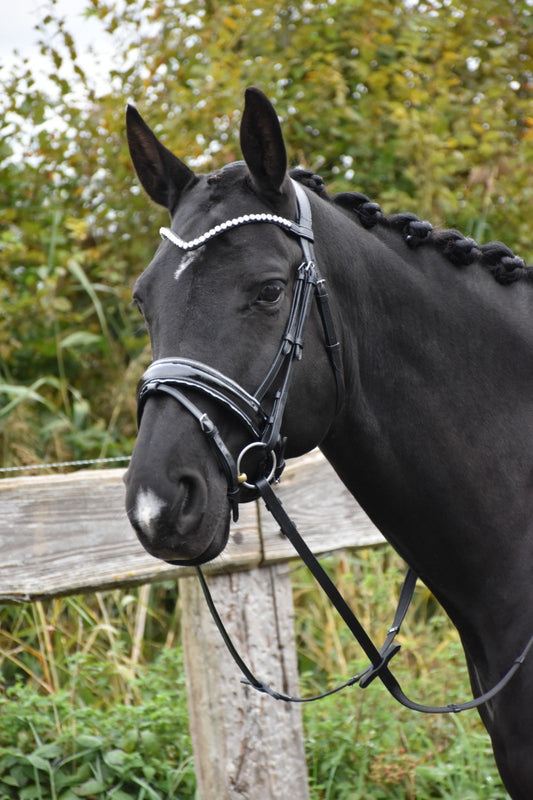 Profirider hoofdstel diamant maat cob