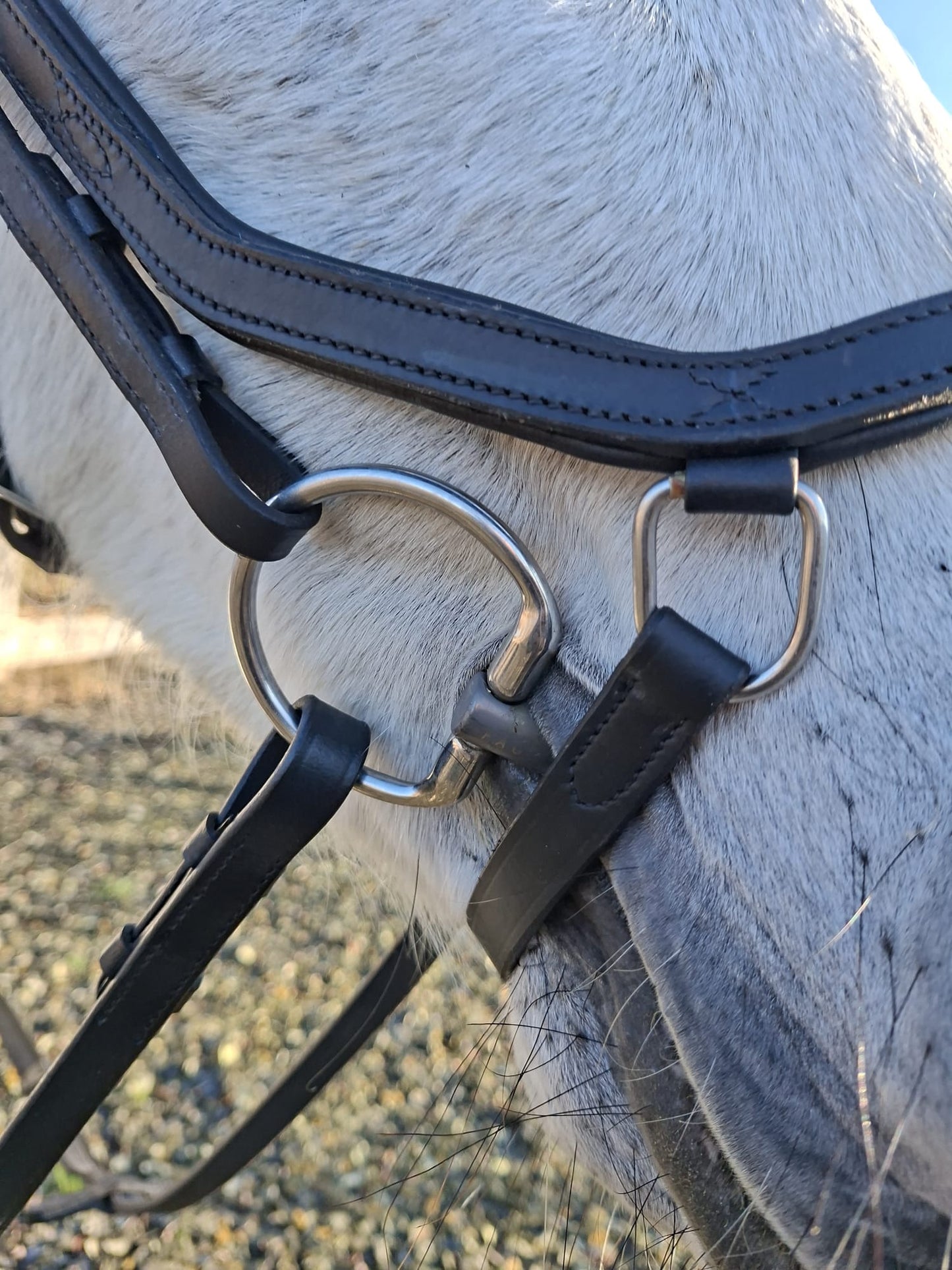 Profirider revolution Hoofdstel met diamanten