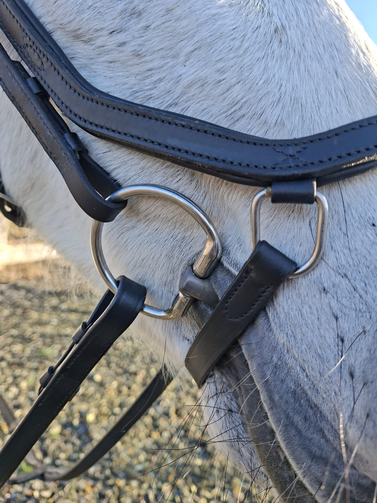 Profirider revolution Hoofdstel met diamanten