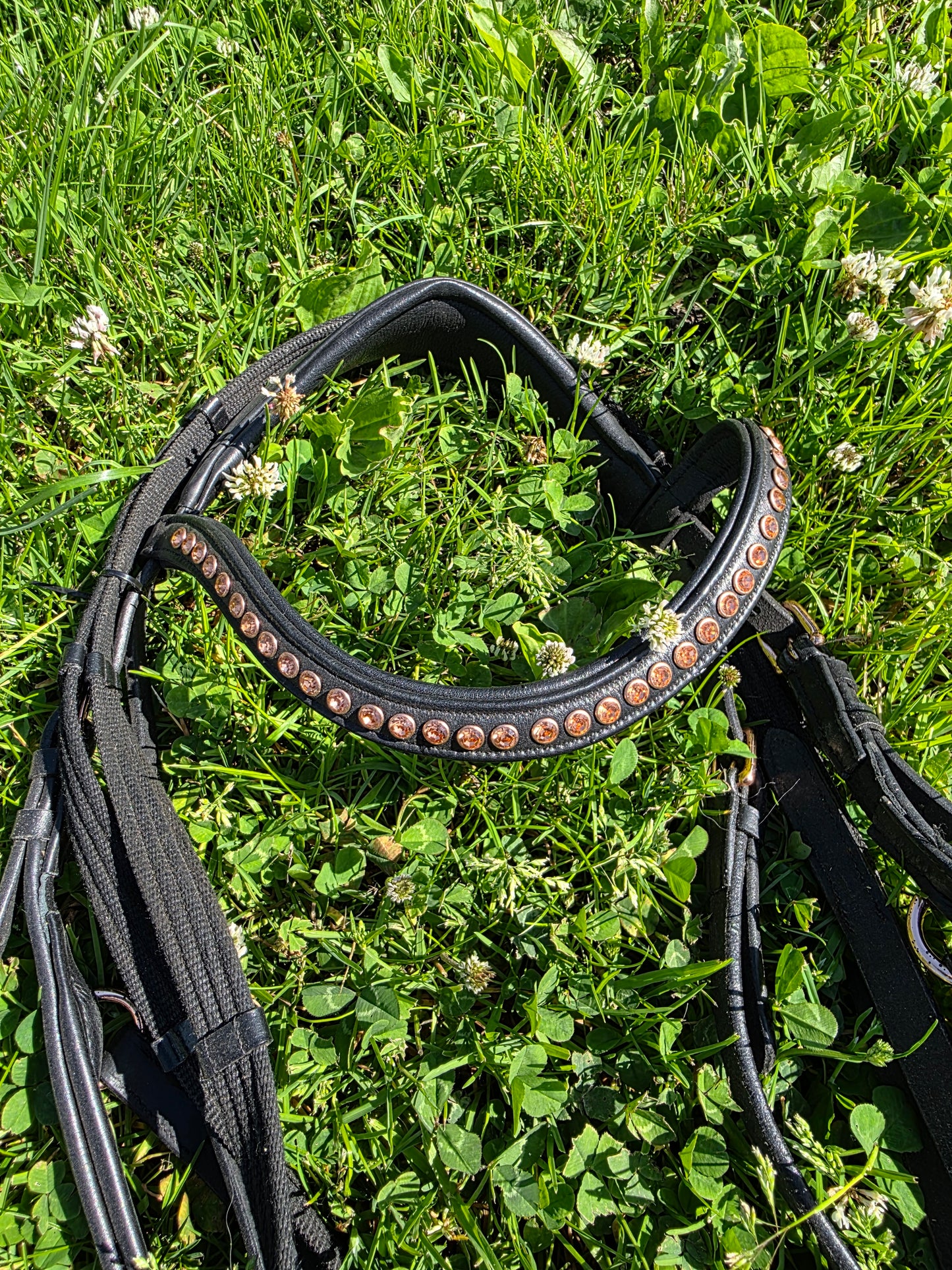 Harrys horse hoofdstel