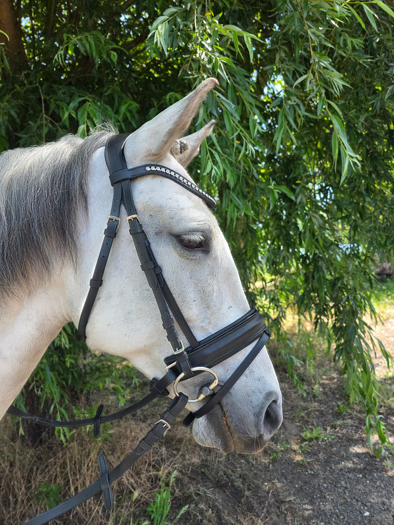 Profirider hoofdstel