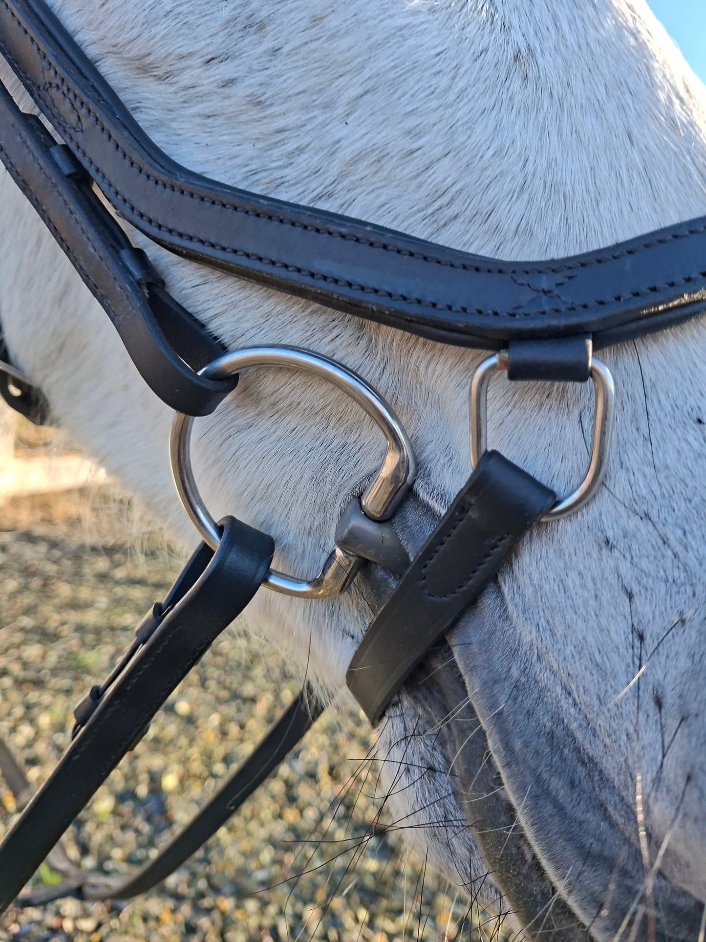 Profirider hoofdstel revolution