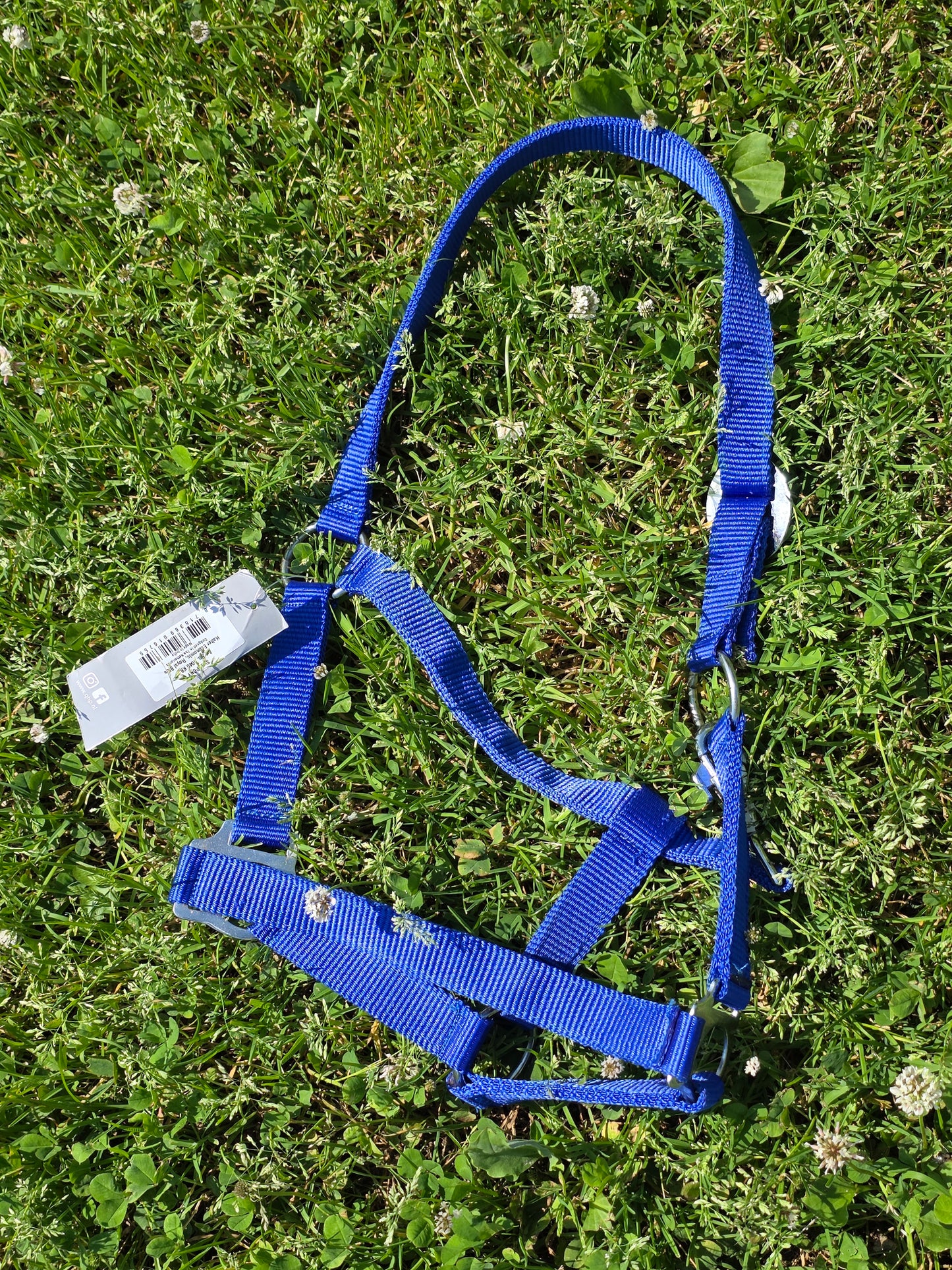 Qhp basic halsters