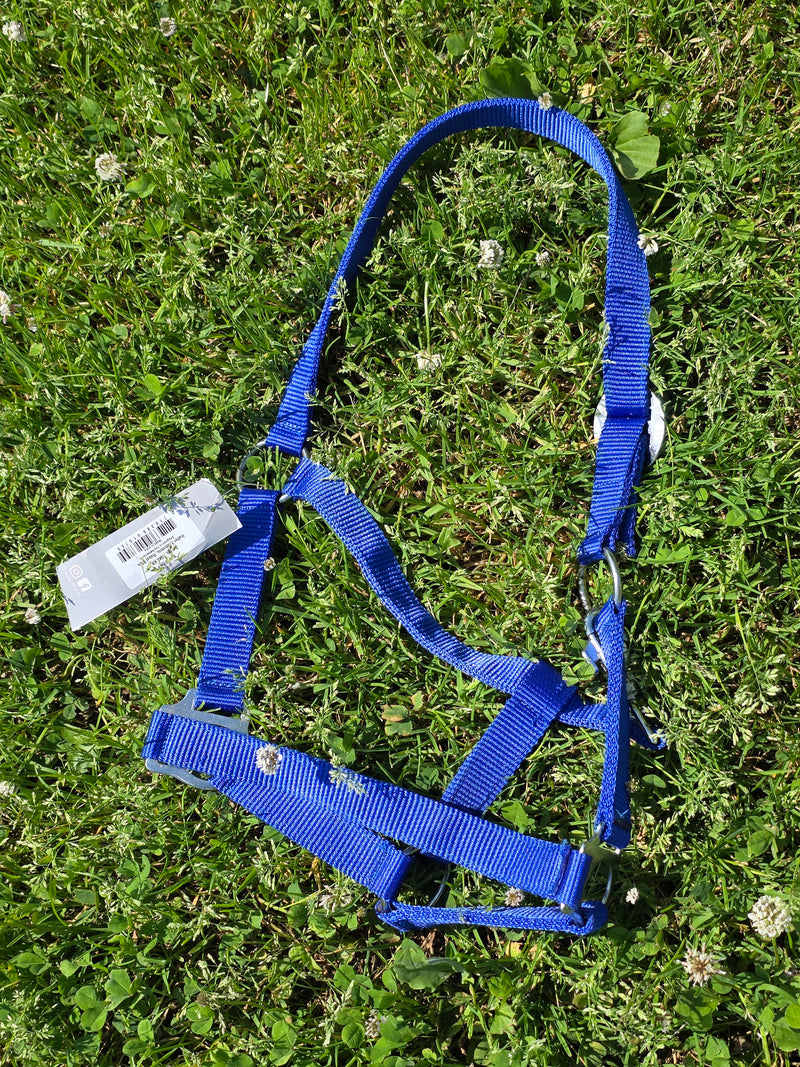 Qhp basic halsters