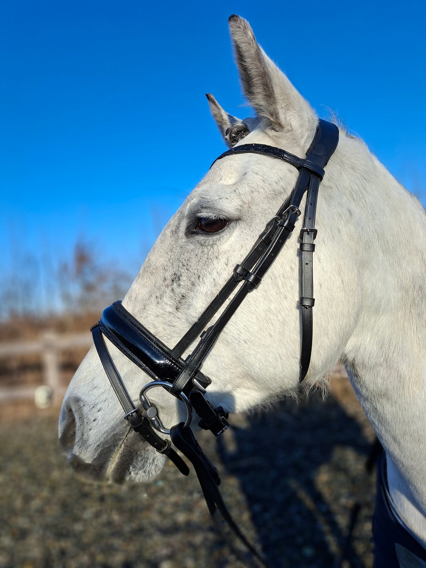 Profirider hoofdstel hotfix stone black/black