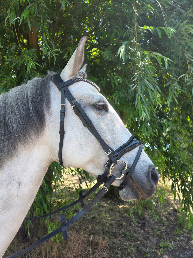 Profirider hoofdstel