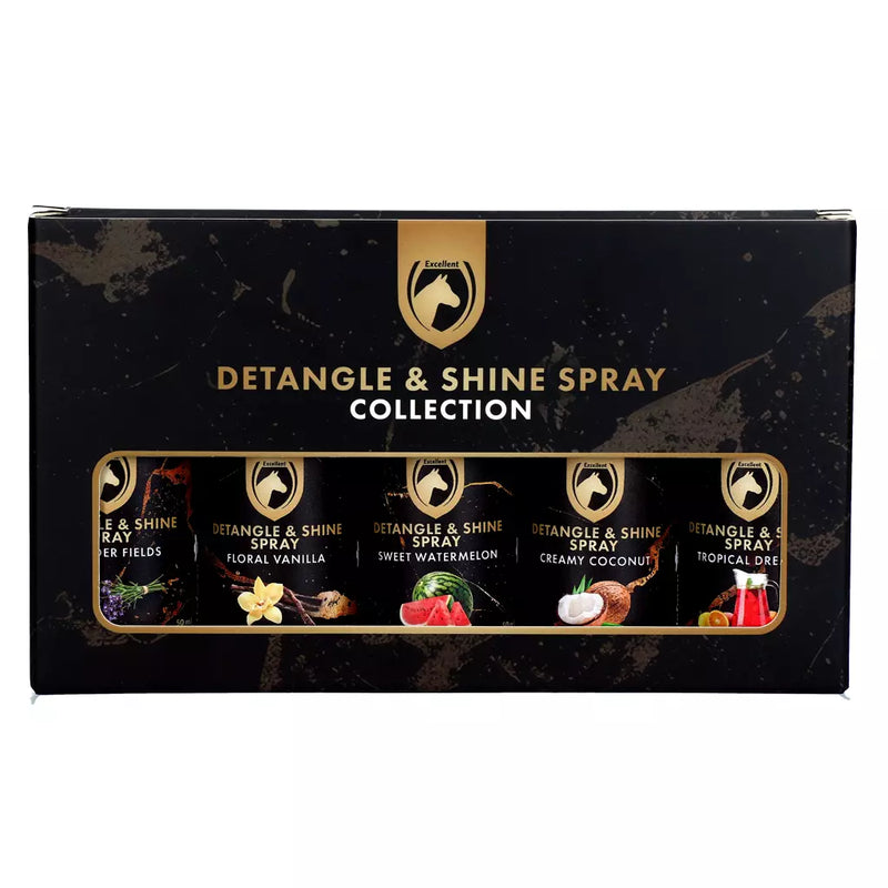 Detangle & Shine Spray Geschenkset 5 x 50 ML