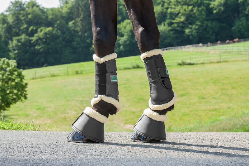 Usg springschoenen