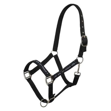 HV Polo Halster