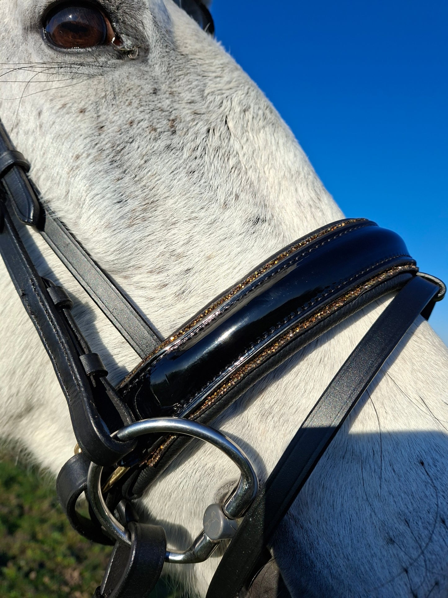 Profirider hoofdstel black/goud