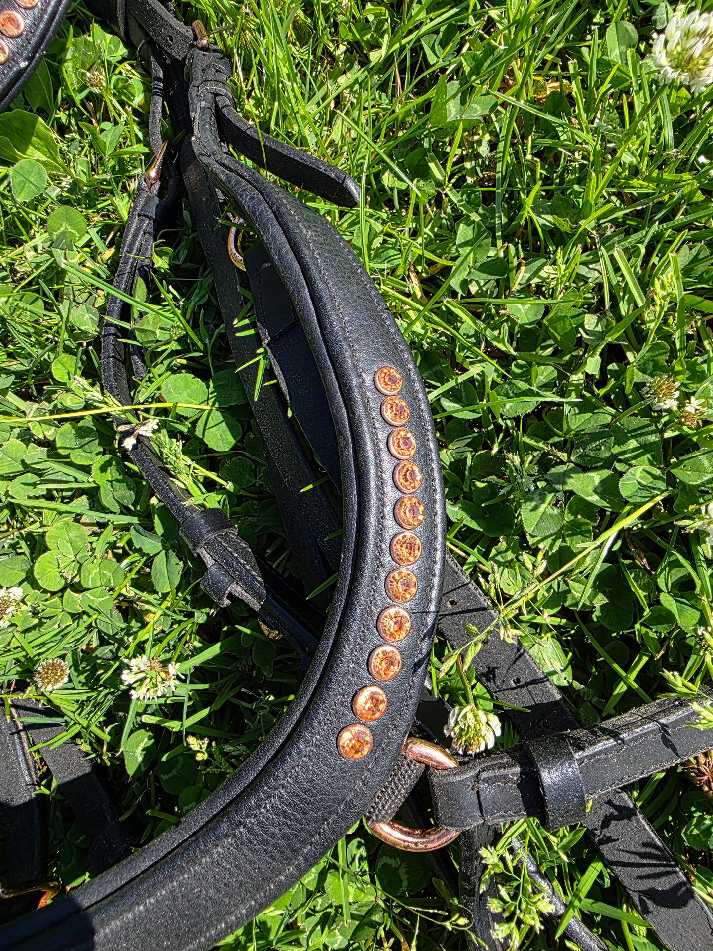Harrys horse hoofdstel